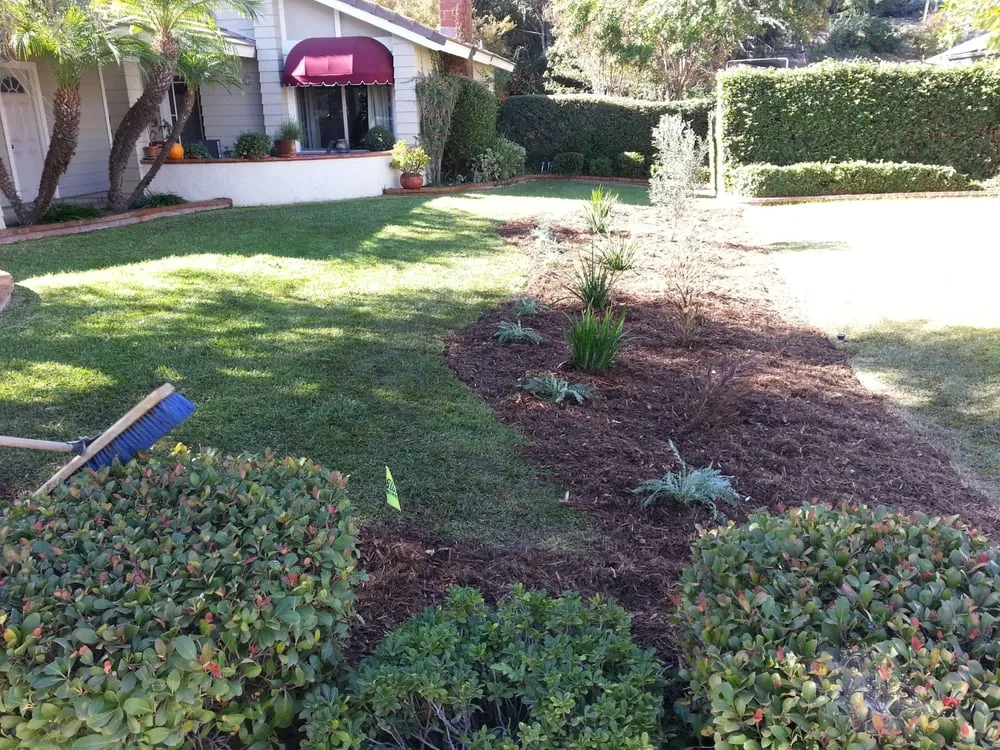 Affordable outdoor landscaping in Chino, CA by Superior Landscape & Maintenance