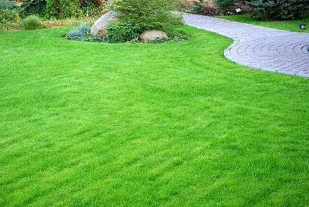 Trusted yard cleanup service in Garland, TX - Superior Landscape & Maintenance