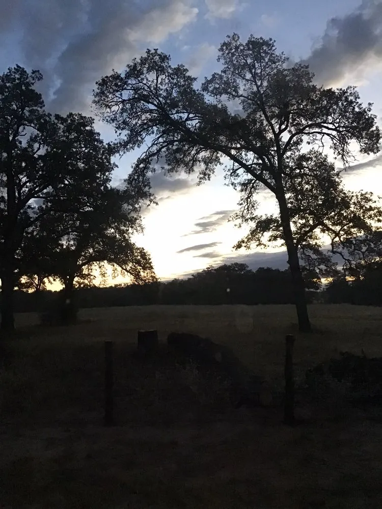 Top-rated lawn mowing service for outdoor upgrades in Round Rock, TX by Superior Landscape Construction