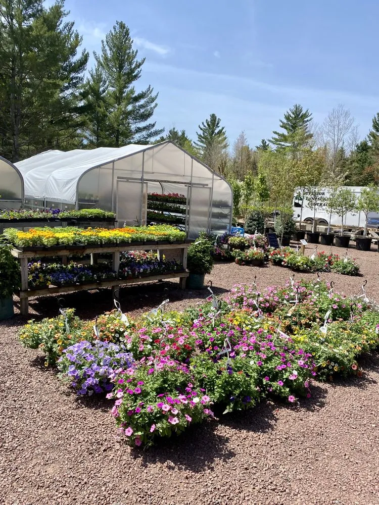 Top-rated yard cleanup service for homes across Lake Nebagamon, WI - Superior Landscape Contractors