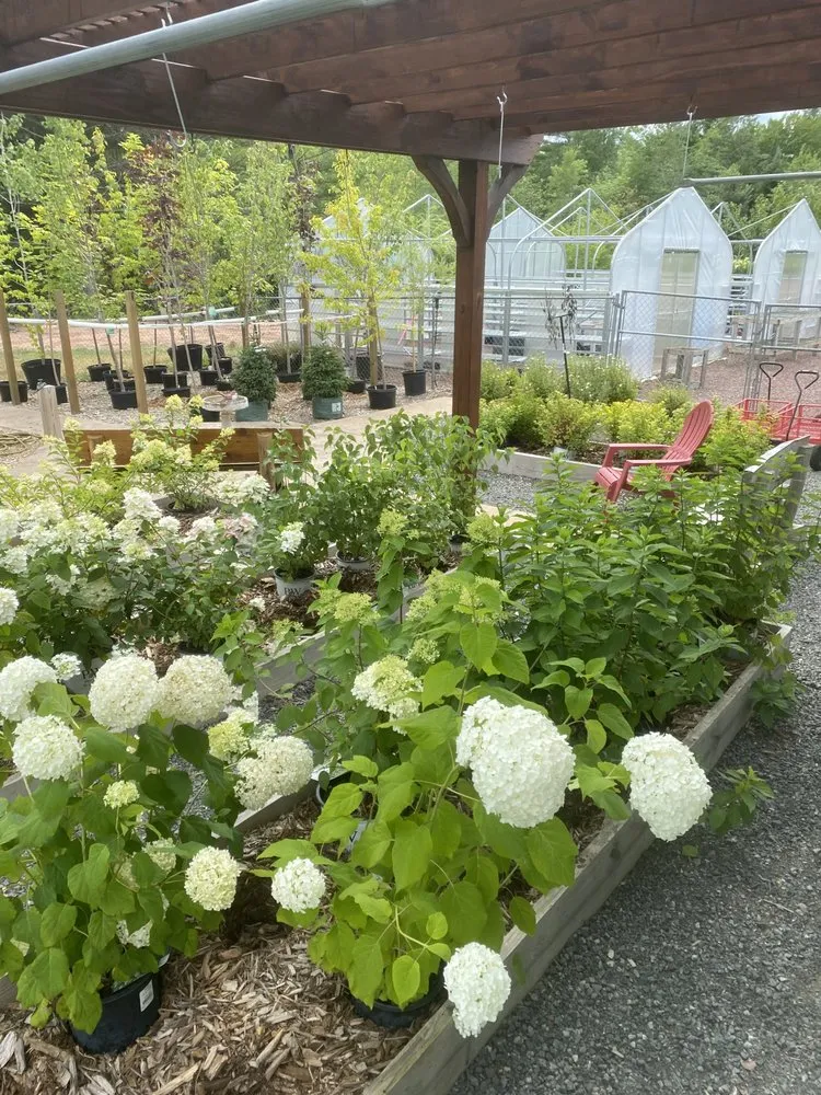 Local landscape design for year-round maintenance in Lake Nebagamon, WI by Superior Landscape Contractors