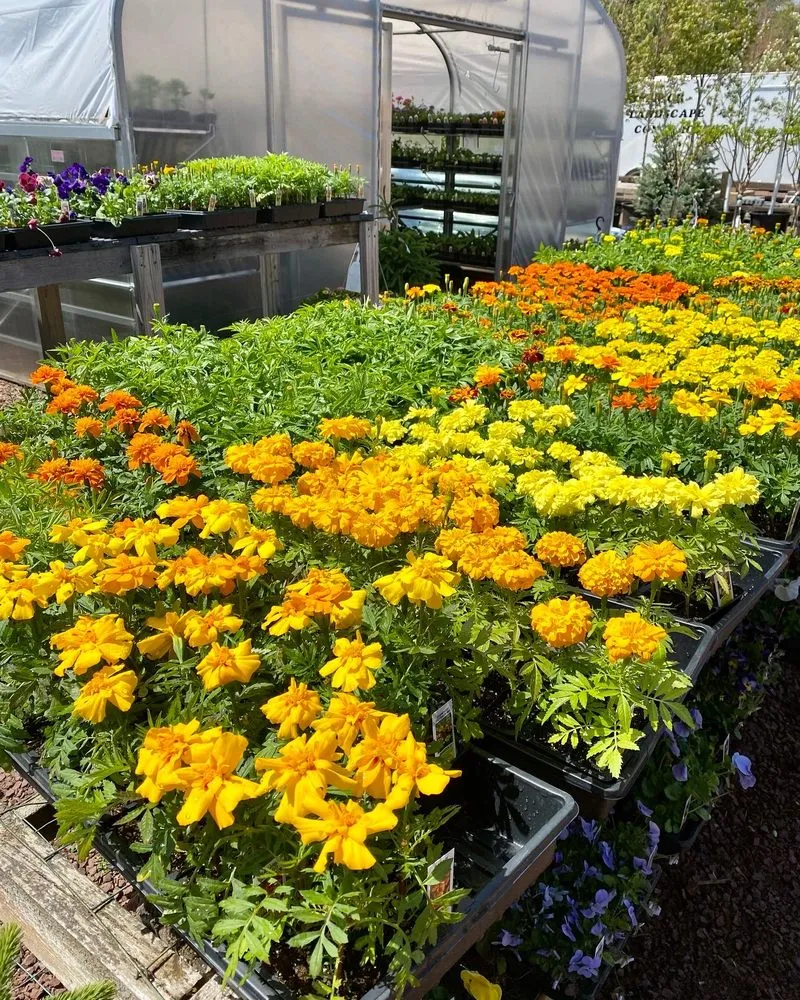 Trusted landscape design experts serving Lake Nebagamon, WI - Superior Landscape Contractors