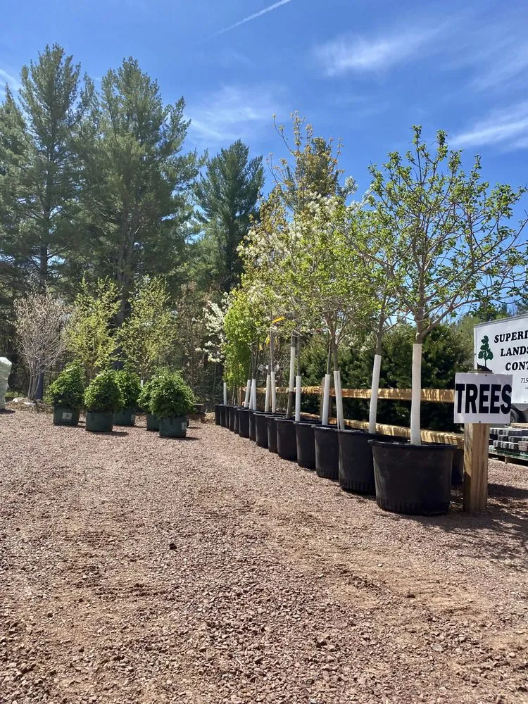 Expert lawn care service for outdoor upgrades across Lake Nebagamon, WI - Superior Landscape Contractors