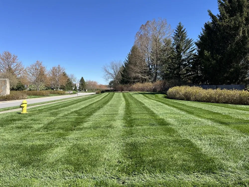 Custom landscape installation for residential properties across Indianapolis, IN - Superior Landscape