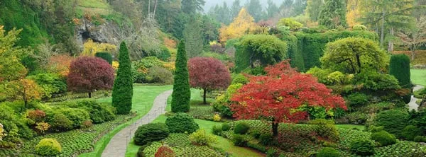 Superior Landscape Management