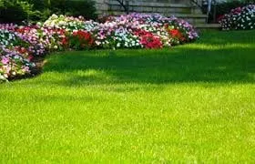 Custom yard cleanup service in Marblehead, MA by Superior Landscape