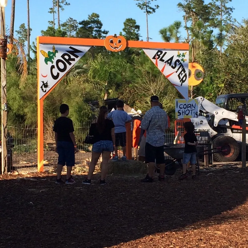 Professional yard cleanup service with custom design across Saint Johns, FL - Superior Landscape