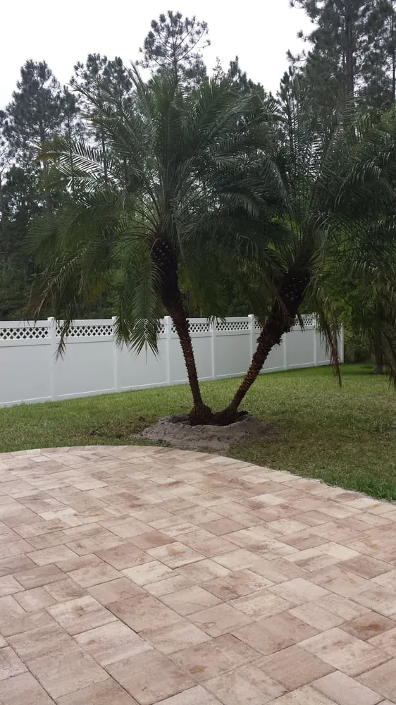 Affordable lawn care service for residential properties in Saint Johns, FL by Superior Landscape