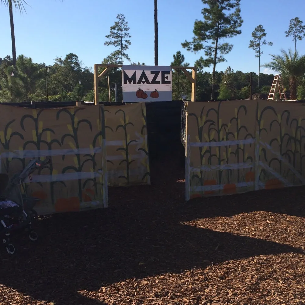 Local landscape installation experts serving Saint Johns, FL - Superior Landscape