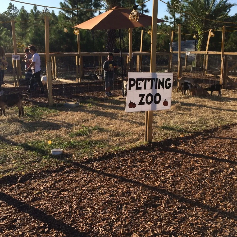 Local lawn mowing service for beautiful yards across Saint Johns, FL - Superior Landscape