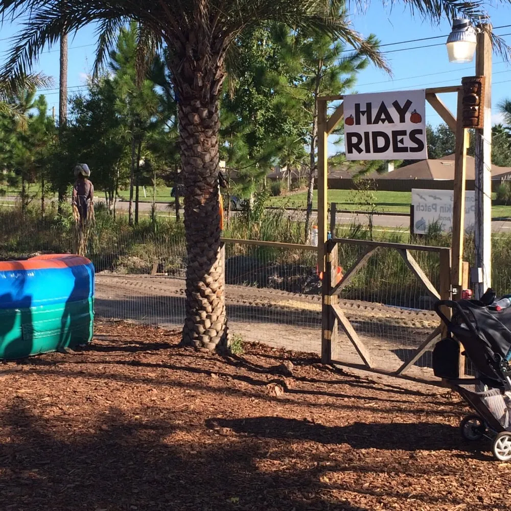 Professional landscape installation experts serving Saint Johns, FL - Superior Landscape