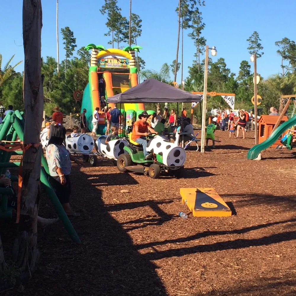 Top-rated outdoor landscaping for year-round maintenance in Saint Johns, FL by Superior Landscape