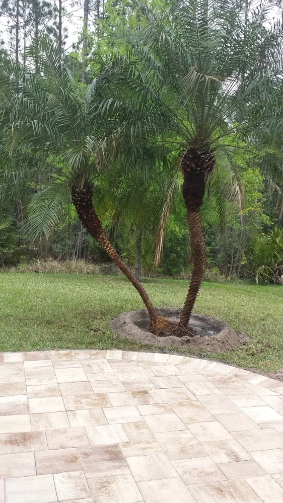 Reliable garden landscaping in Saint Johns, FL - Superior Landscape