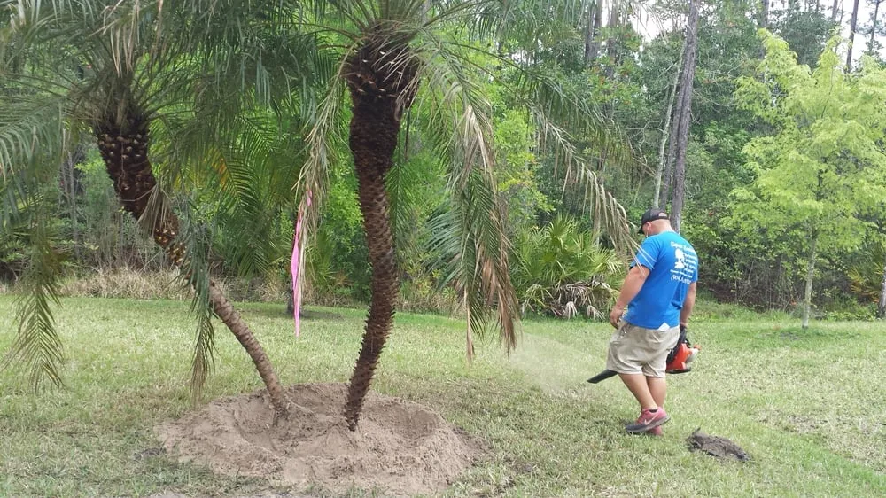 Trusted landscape design in Saint Johns, FL by Superior Landscape