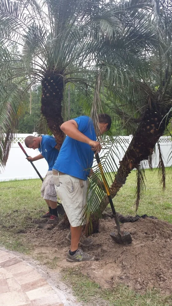 Affordable garden landscaping for residential properties across Saint Johns, FL - Superior Landscape