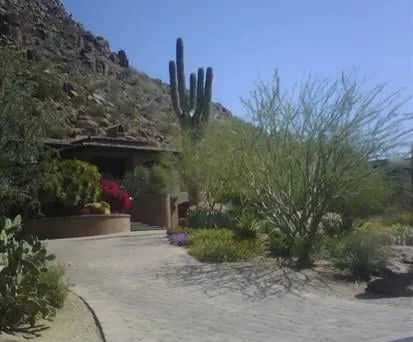Trusted lawn care service in Cave Creek, AZ - Superior Landscape Specialist