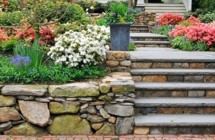 Professional yard cleanup service for homes in Cave Creek, AZ by Superior Landscape Specialist