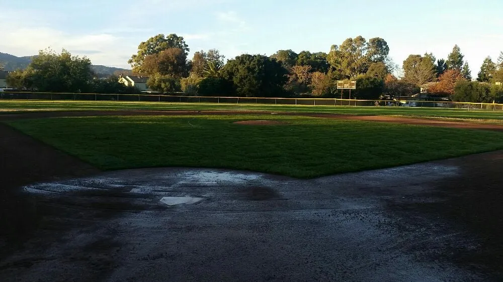 Top-rated yard maintenance for outdoor upgrades across San Rafael, CA - Superior Landscapes