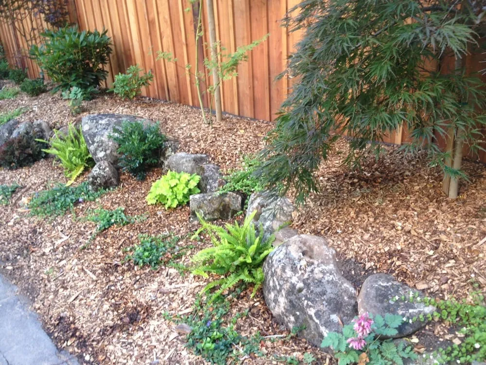 Custom landscape installation experts serving San Rafael, CA - Superior Landscapes