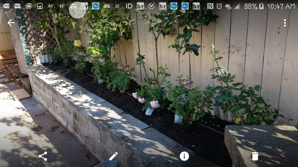 Expert landscaping services near you across San Rafael, CA - Superior Landscapes