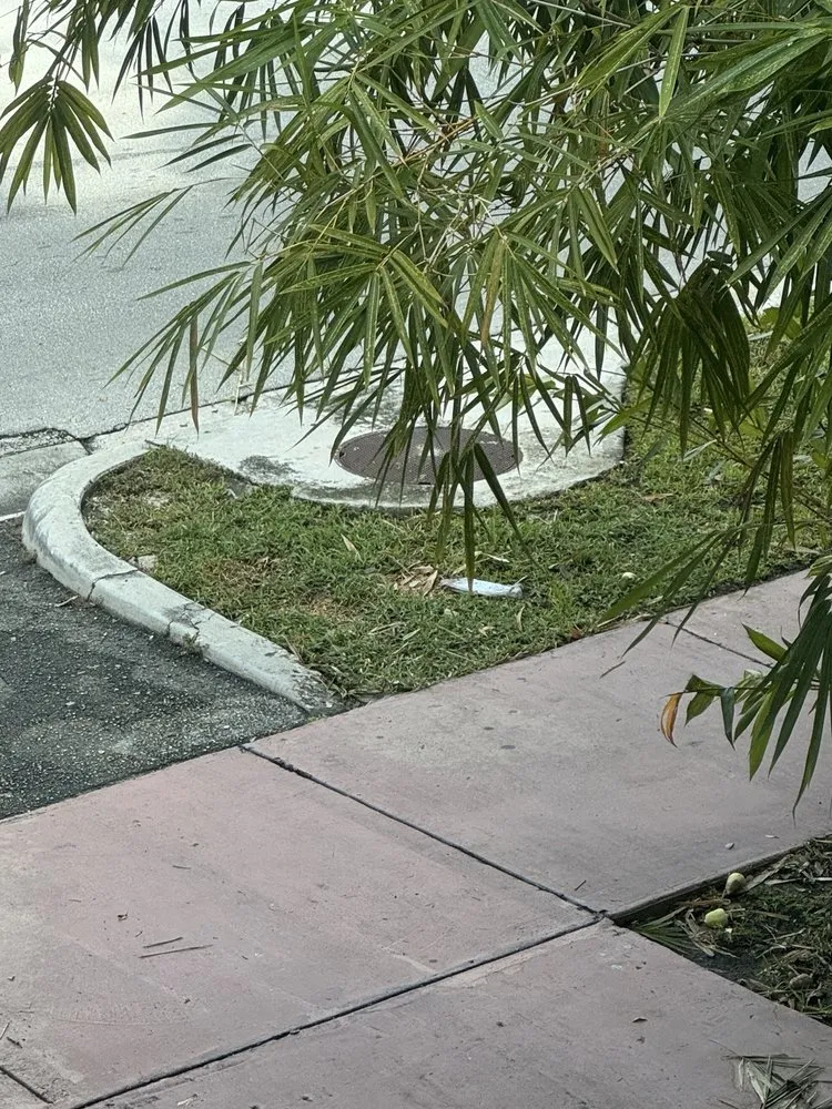 Custom landscaping services in Miami, FL - Superior Landscaping & Lawn Service