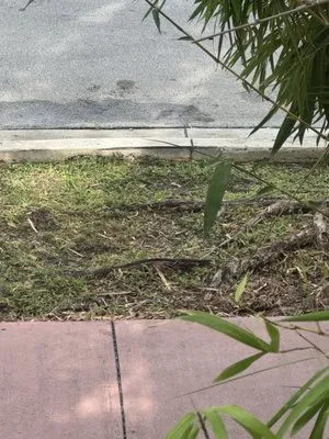 Superior Landscaping & Lawn Service