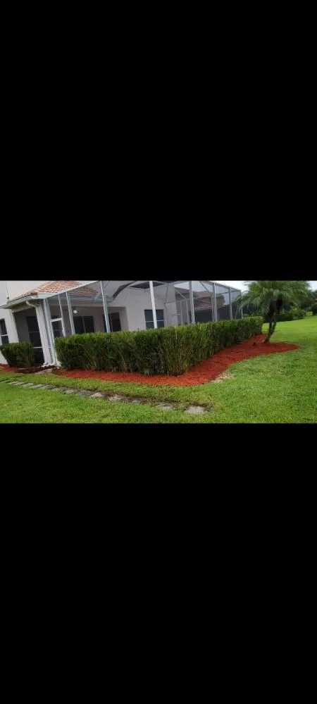 Custom lawn care service experts serving Cape Coral, FL - Superior Landscaping & More