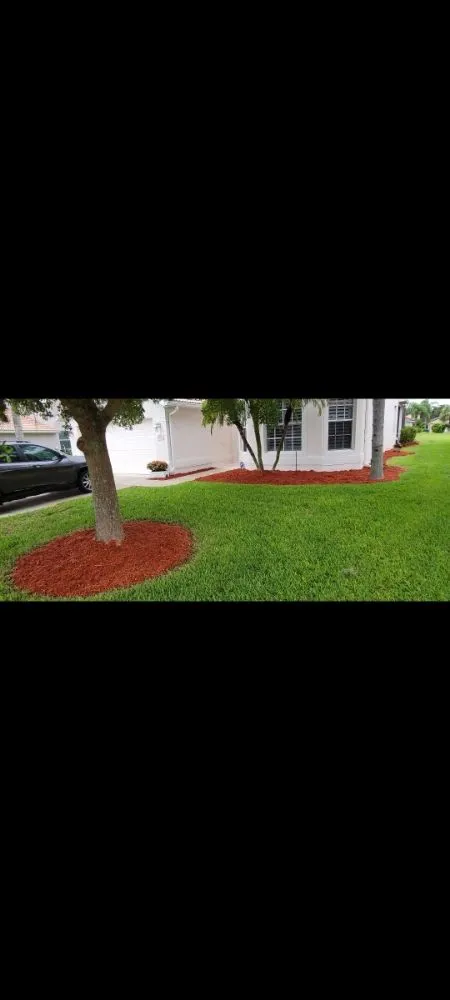 Expert landscape design for beautiful yards across Cape Coral, FL - Superior Landscaping & More