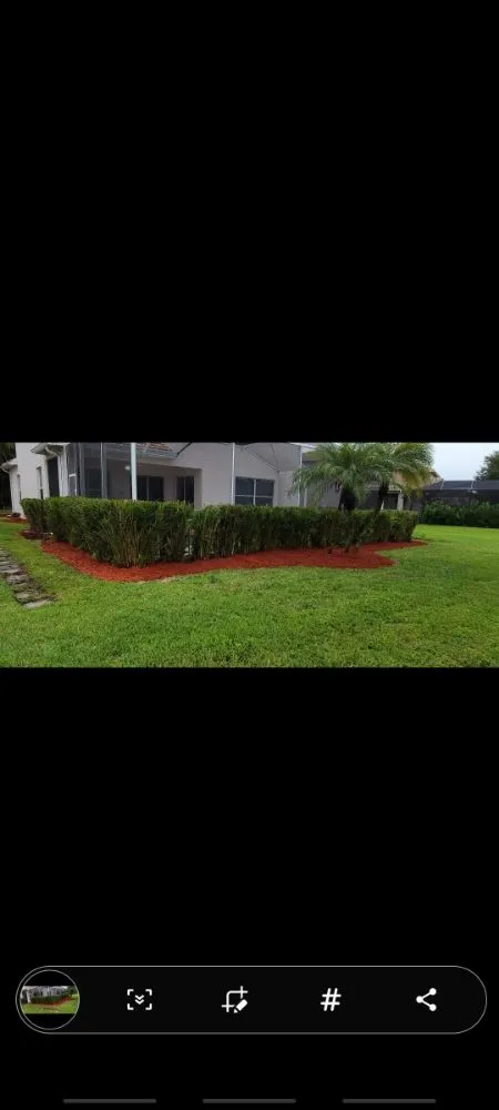 Custom lawn care service in Cape Coral, FL by Superior Landscaping & More