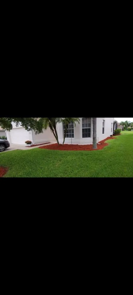 Reliable landscaping services for year-round maintenance across Cape Coral, FL - Superior Landscaping & More