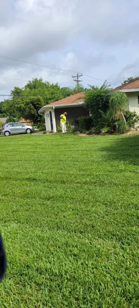 Custom landscape installation experts serving Cape Coral, FL - Superior Landscaping & More