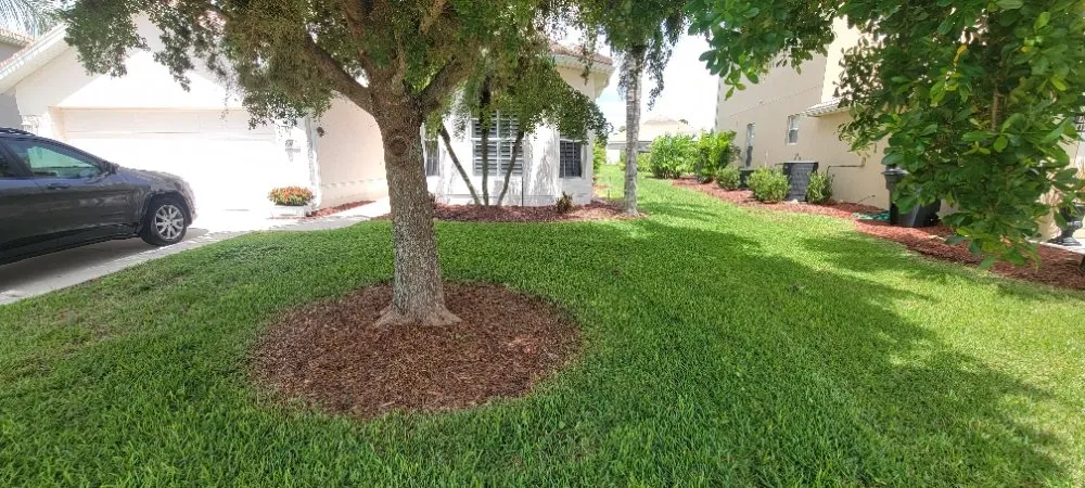 Top-rated yard maintenance in Cape Coral, FL by Superior Landscaping & More