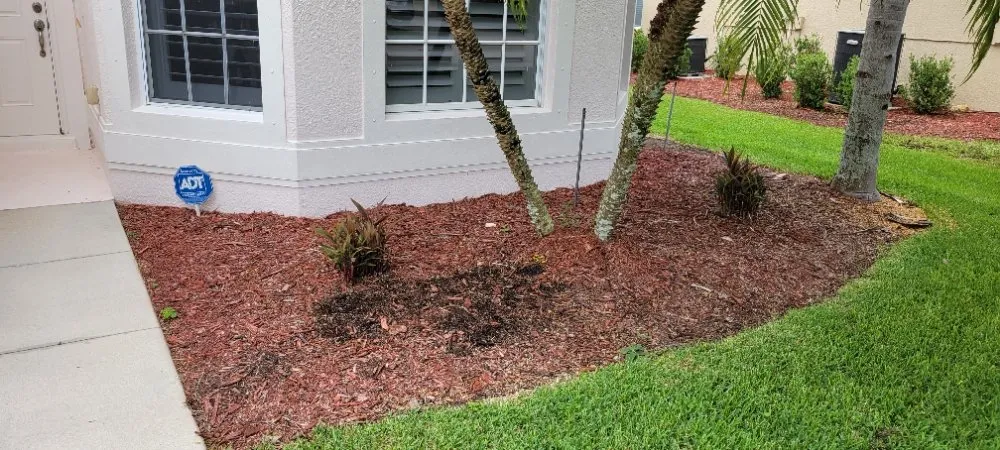 Top-rated landscape installation experts serving Cape Coral, FL - Superior Landscaping & More