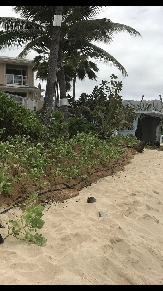 Reliable yard cleanup service in Wahiawa, HI - Superior Landscaping And Masonry