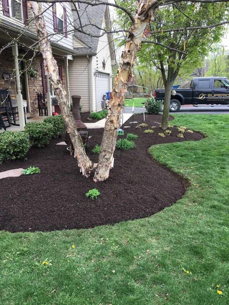 Custom residential landscaping for beautiful yards across Fountain Hill, PA - Superior Landscaping and Remodeling
