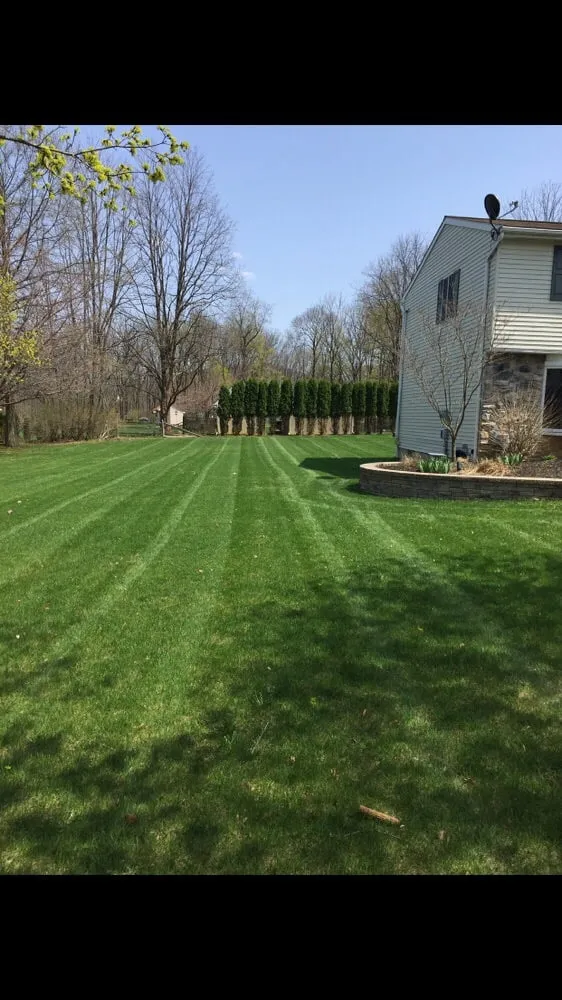 Local yard maintenance in Fountain Hill, PA by Superior Landscaping and Remodeling