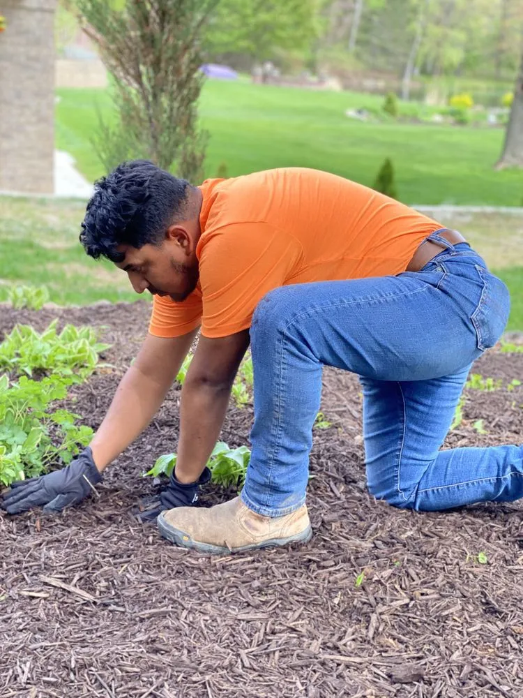 Top-rated outdoor landscaping experts serving Ashwaubenon, WI - Superior Landscaping