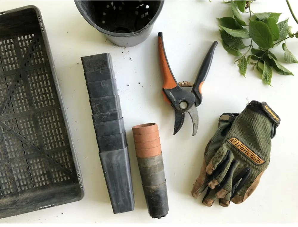 Reliable landscaping services with custom design in Ashwaubenon, WI by Superior Landscaping