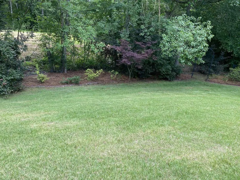 Custom landscape design experts serving Columbus, GA - Superior Landscaping