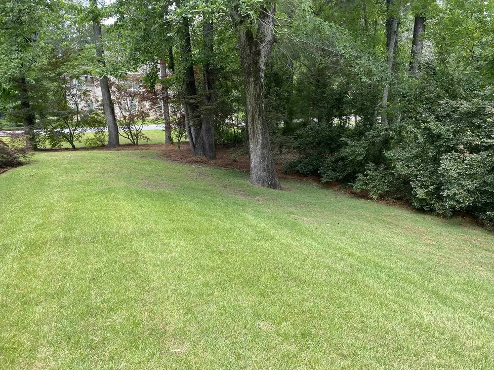 Affordable yard cleanup service for beautiful yards across Columbus, GA - Superior Landscaping