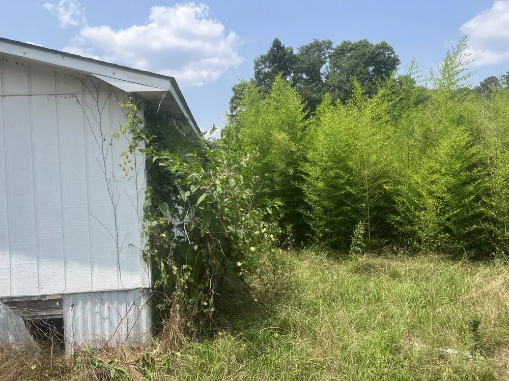 Expert lawn care service experts serving Columbus, GA - Superior Landscaping