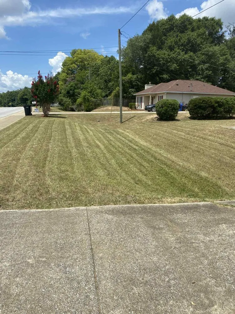Trusted landscape installation in Columbus, GA by Superior Landscaping