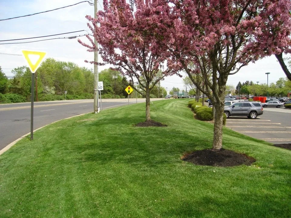Custom lawn mowing service experts serving Hamilton Township, NJ - Superior Landscaping