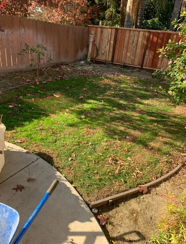 Local lawn mowing service experts serving Manteca, CA - Superior Landscaping