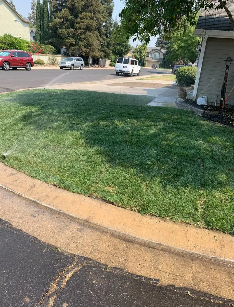 Trusted yard cleanup service in Manteca, CA by Superior Landscaping