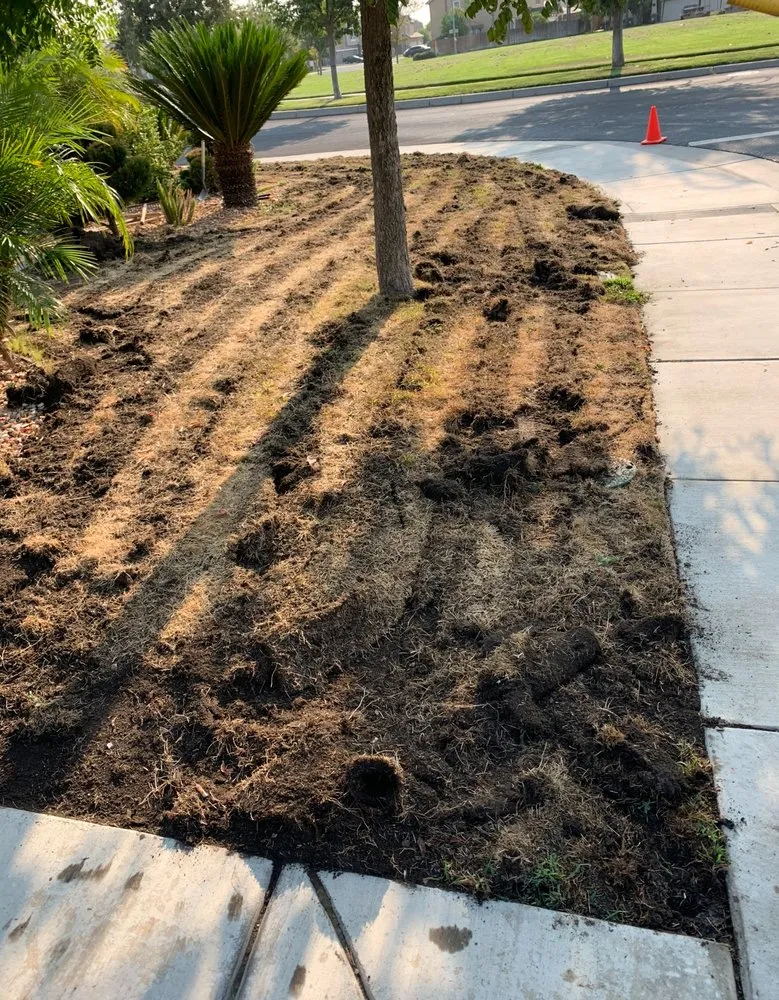 Trusted landscaping services in Manteca, CA by Superior Landscaping