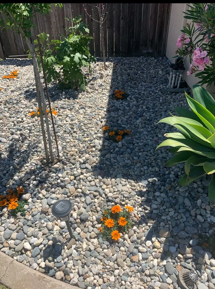 Custom outdoor landscaping with custom design in Manteca, CA by Superior Landscaping