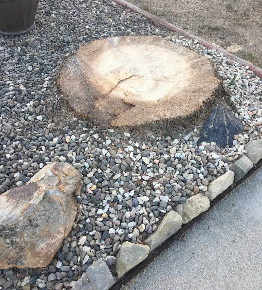 Affordable lawn care service in Santa Barbara, CA - Superior Landscaping