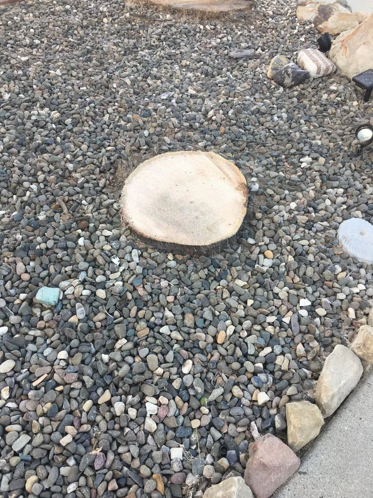 Top-rated landscaping services with custom design in Santa Barbara, CA by Superior Landscaping