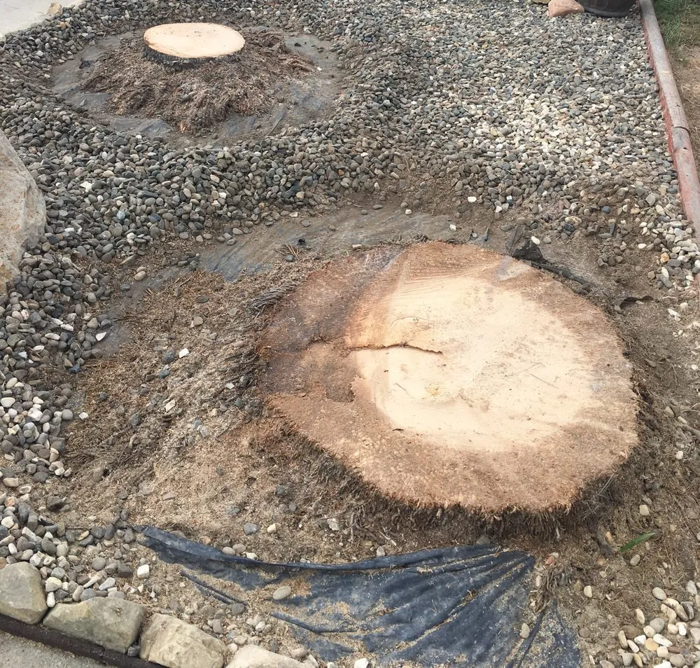 Top-rated residential landscaping experts serving Santa Barbara, CA - Superior Landscaping